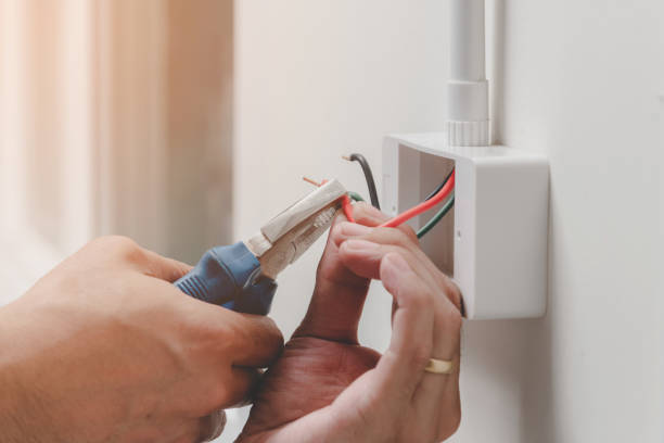 Best Electrical Panel Upgrades  in Carey, OH